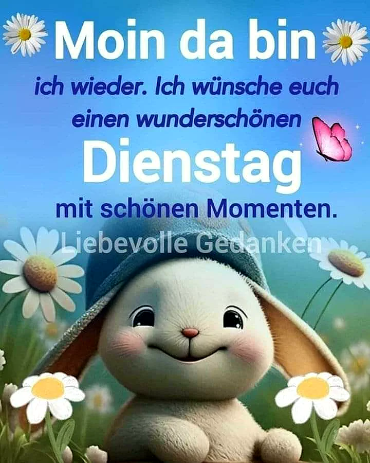 Ein niedlicher, lächelnder Cartoon-Hase mit blauer Mütze sitzt in einem Feld voller Gänseblümchen. Am strahlend blauen Himmel fliegt ein rosa Schmetterling, dazu ein Text für einen wunderschönen Dienstag.