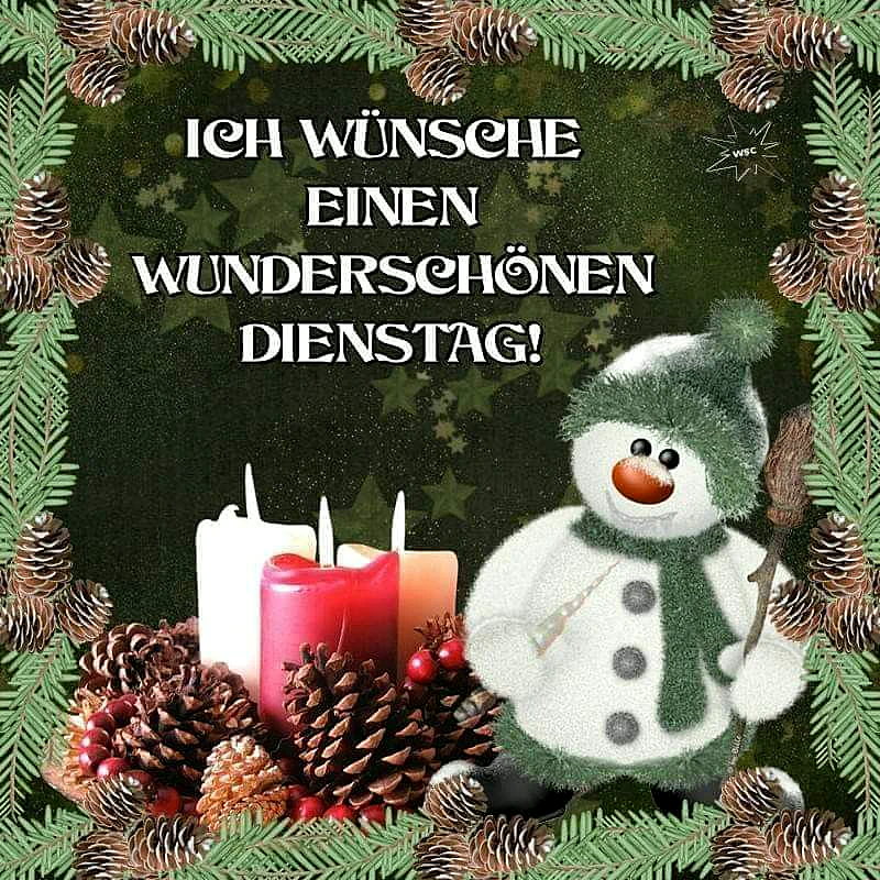 Ein lächelnder Schneemann mit grünem Schal und Mütze steht neben leuchtenden Kerzen, umgeben von Kiefernzapfen und roten Beeren. Ein winterlicher Rahmen aus Tannenzweigen und Zapfen auf dunklem Grund überbringt schöne Dienstagsgrüße.