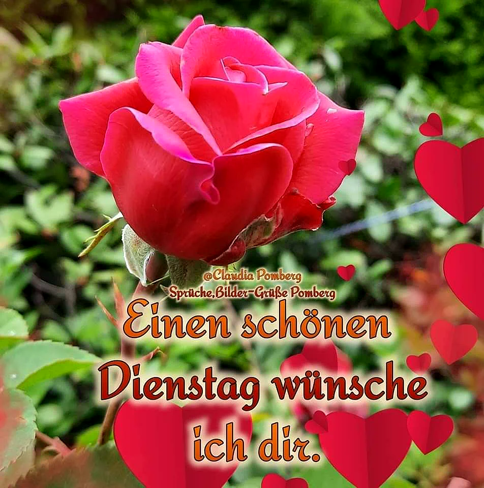 Roter Gruß für einen produktiven Dienstag: Herzliche Wünsche für dich.
