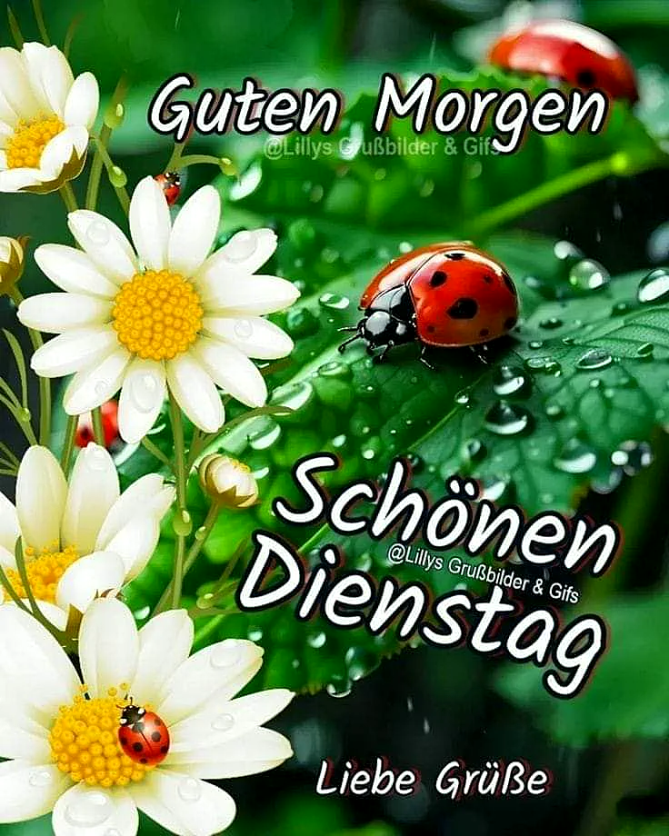 Ein Bild mit einer roten Marienkäferin auf einem grünen Blatt mit Wassertropfen, umgeben von weißen Blumen mit gelben Zentren.