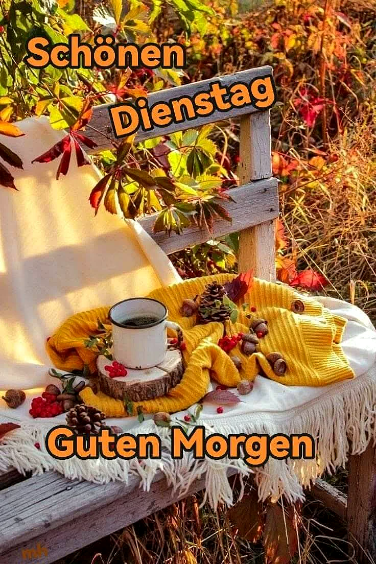 Schönen Dienstag Bilder - Guten Morgen Gruß für einen produktiven Tag