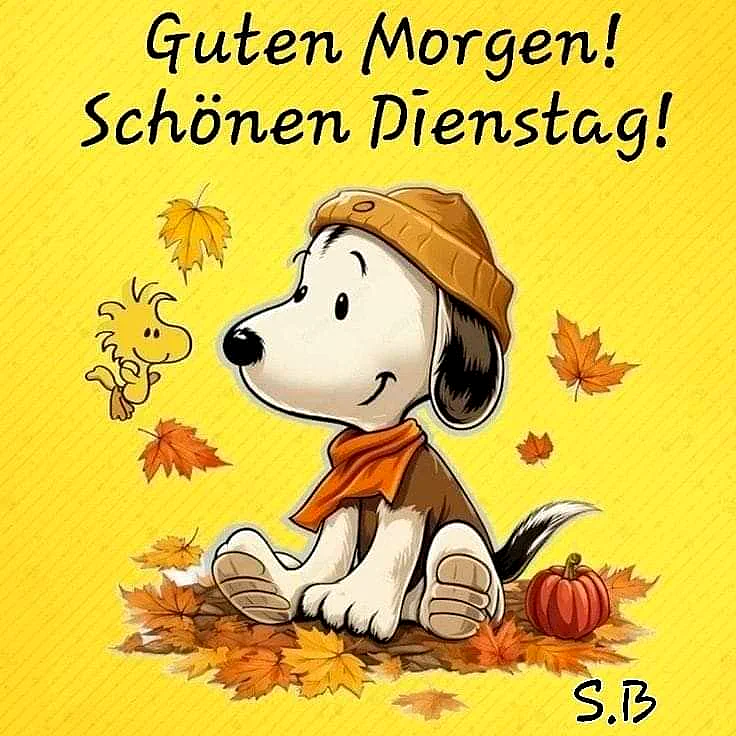 Schönen Dienstag Bilder - Guten Morgen Gruß für Whatsapp