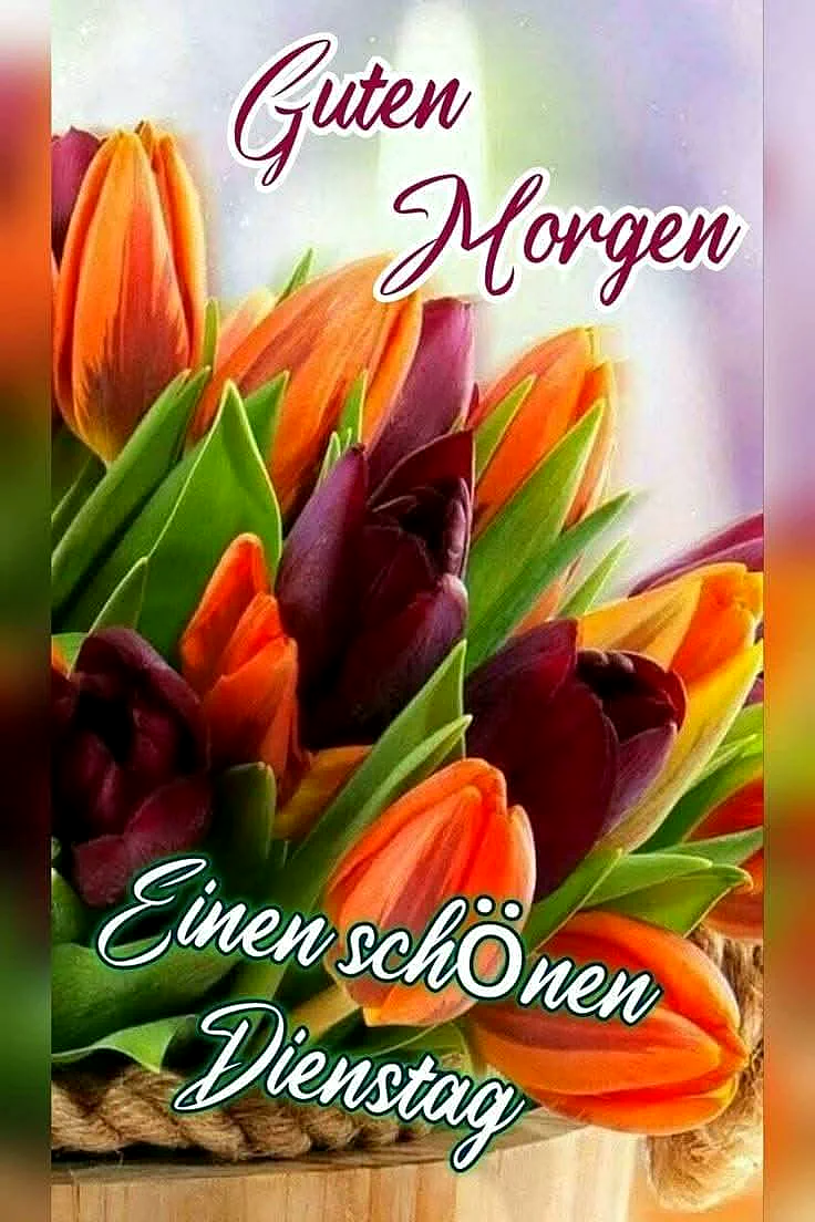 Schönen Dienstag: Guten Morgen mit frischen Tulpen