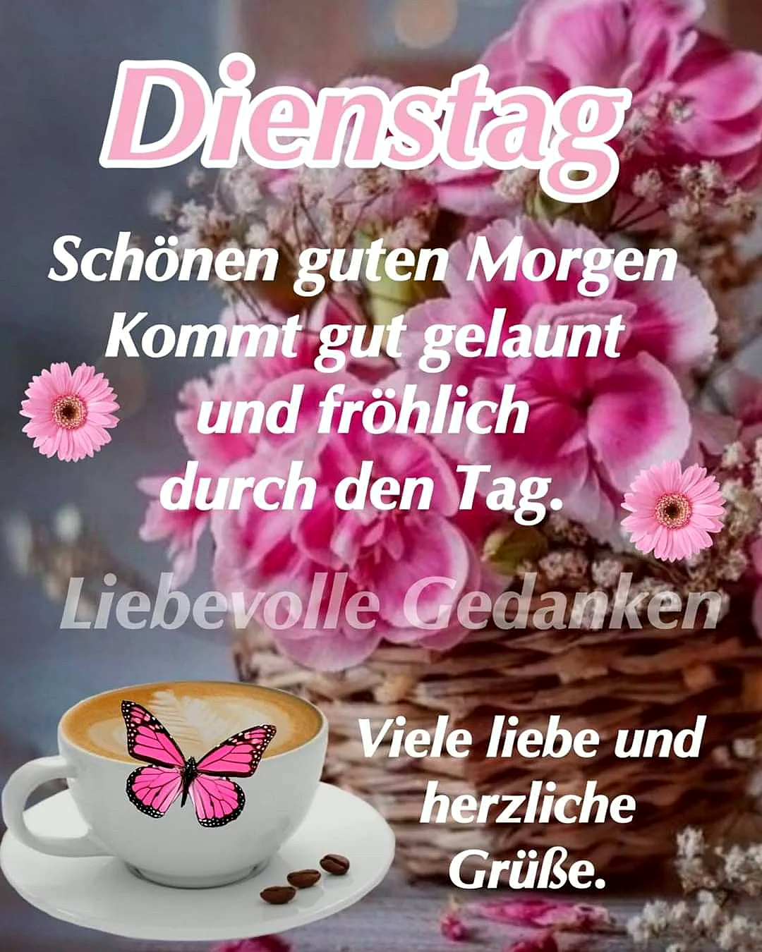 Schönen Dienstag mit Fokus: Dein Gruß für einen produktiven Tag.