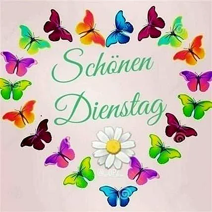 Ein Kreis farbenfroher Schmetterlinge umgibt den zarten Gruß 'Schönen Dienstag' in geschwungener Schrift. Eine weiße Gänseblümchenblüte mit gelber Mitte schmückt den unteren Bereich, alles auf einem sanft getönten Hintergrund. Das Bild strahlt eine leichte und freudige Stimmung aus.