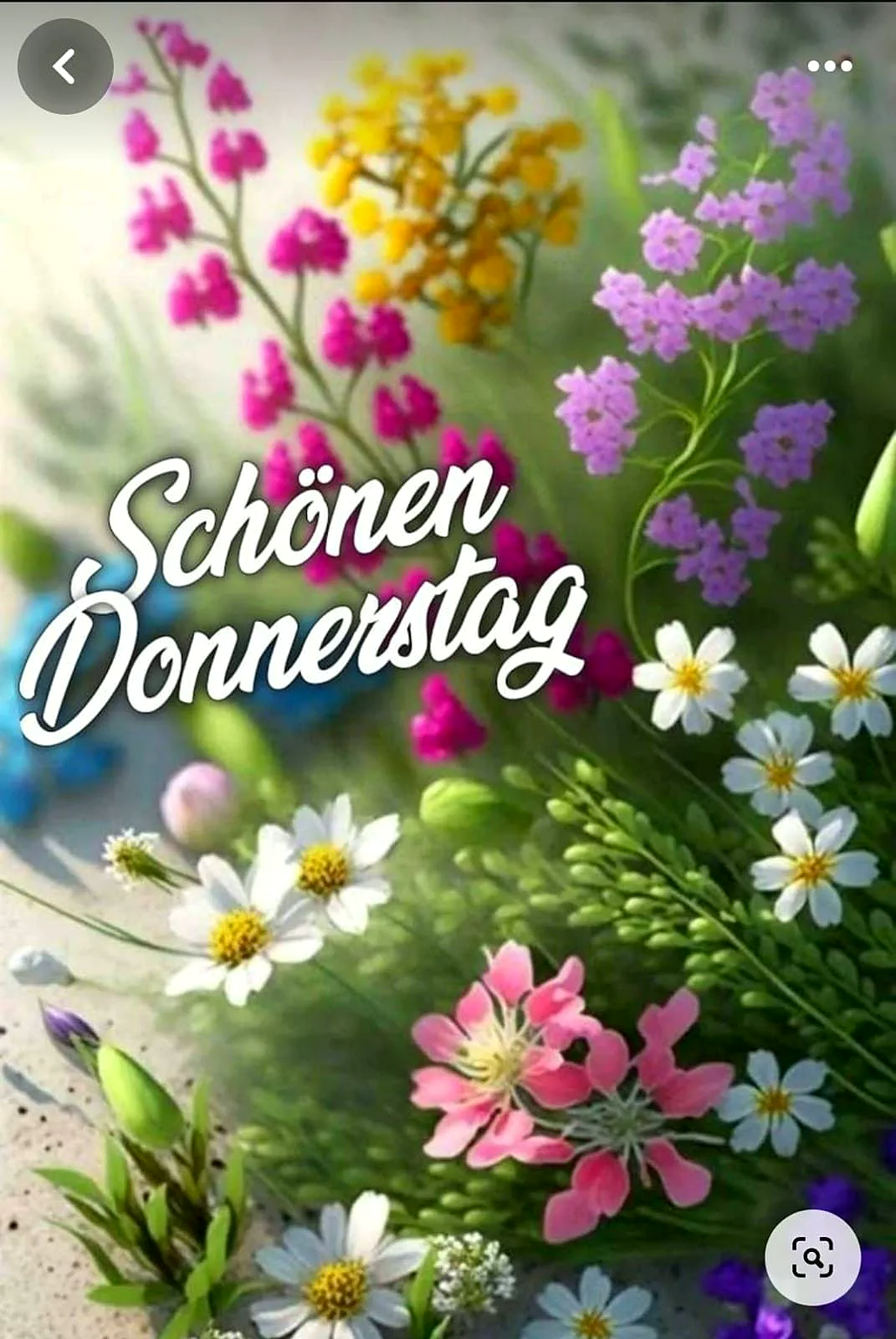 Schönen Donnerstag - Die Vorfreude auf's Wochenende beginnt