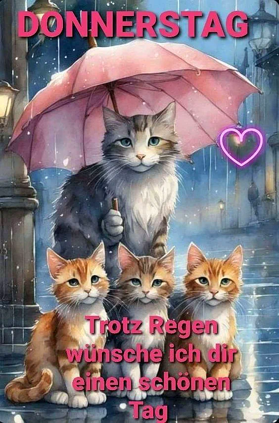 Schönen Donnerstag! Trotz Regen, ein schöner Tag