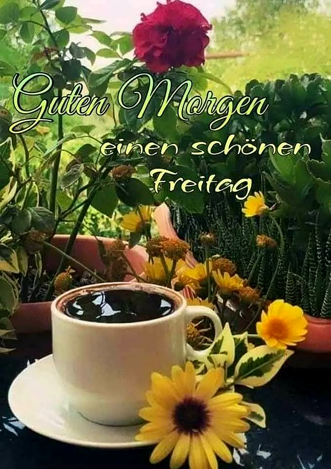 Schönen Freitag Bilder - Guten Morgen, ein frischer Start