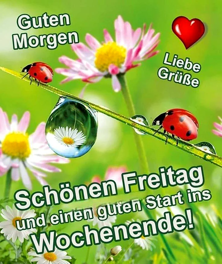 Schönen Freitag Bilder - Guten Morgen & Liebe Grüße zum Wochenende