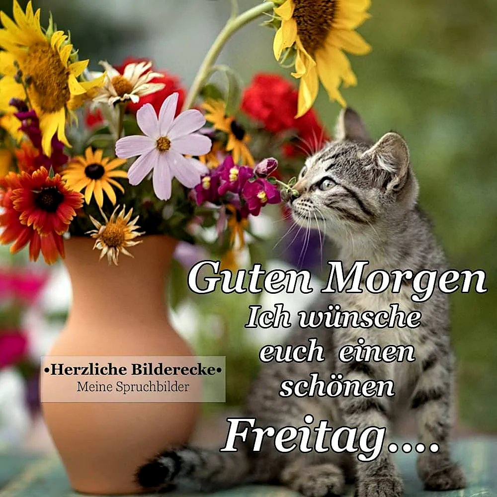 Schönen Freitag Bilder - Guten Morgen und ein wundervolles Wochenende