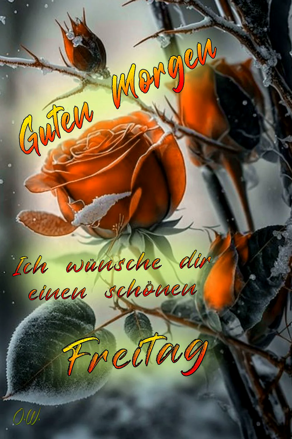 Schönen Freitag Bilder - Guten Morgen Wunsch