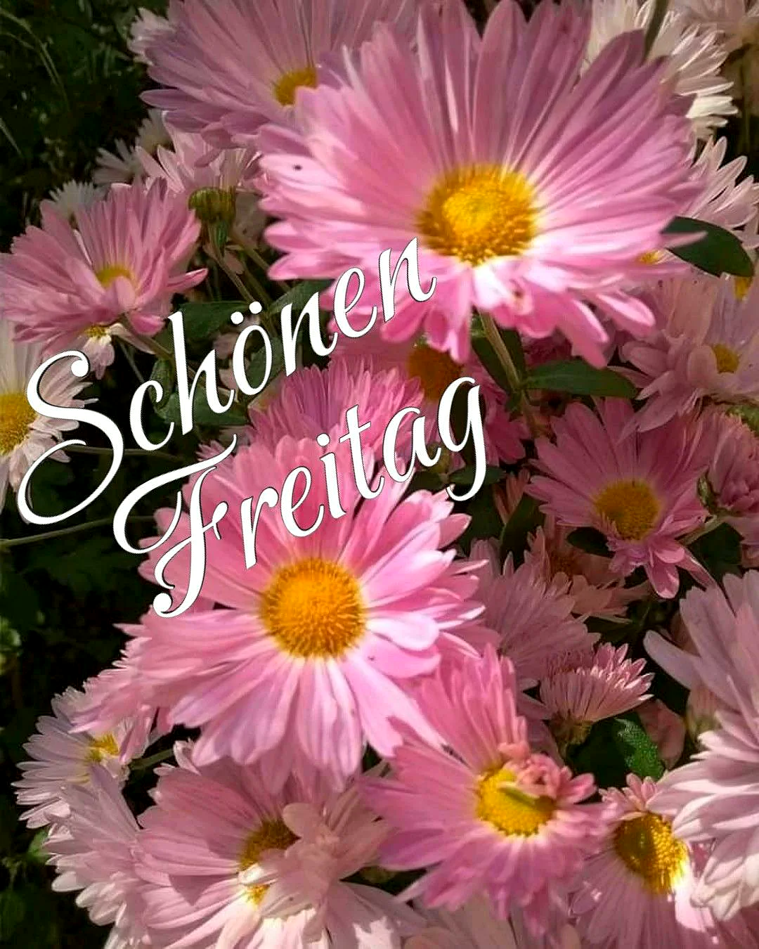 Schönen Freitag - Endlich ist es soweit, der Tag der Freiheit beginnt!