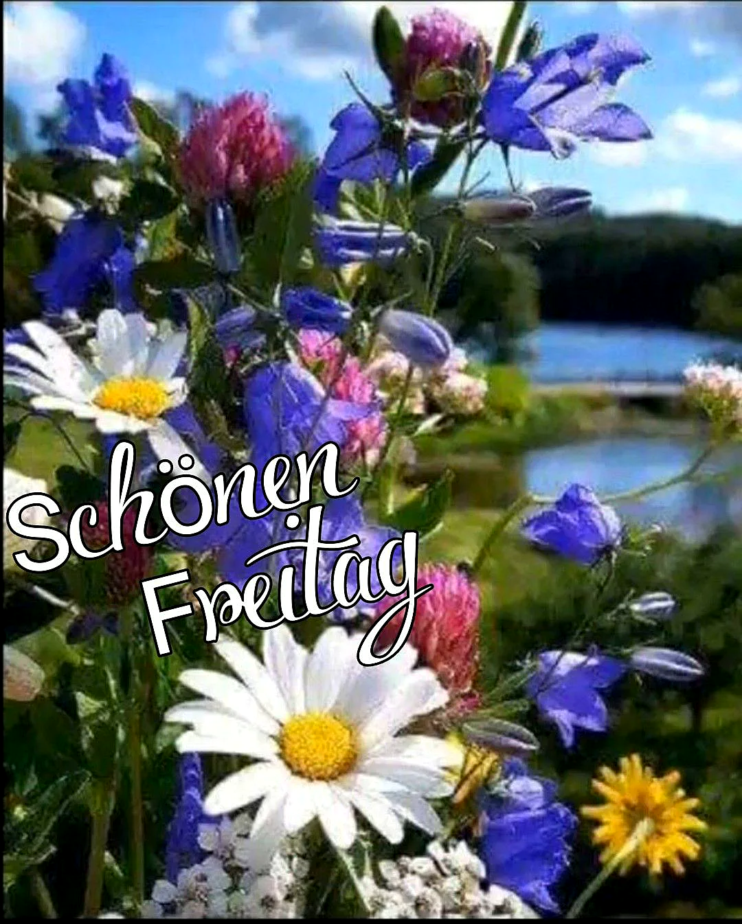 Schönen Freitag! Endlich ist es soweit - der Tag der Freiheit beginnt!