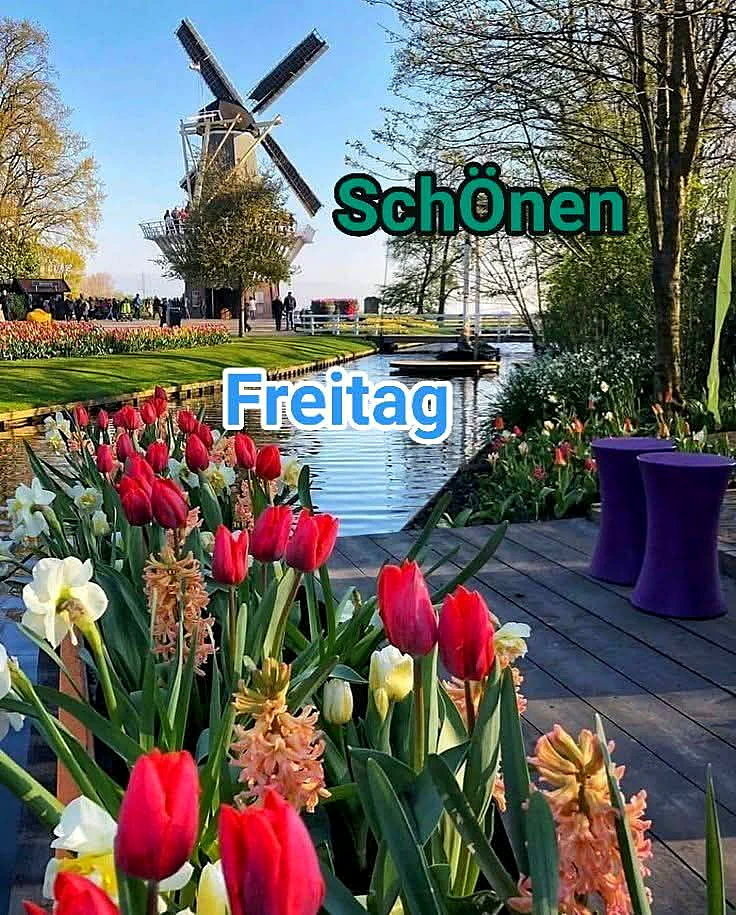 Schönen Freitag: Farbexplosion und Vorfreude – Dein Feierabend wartet!