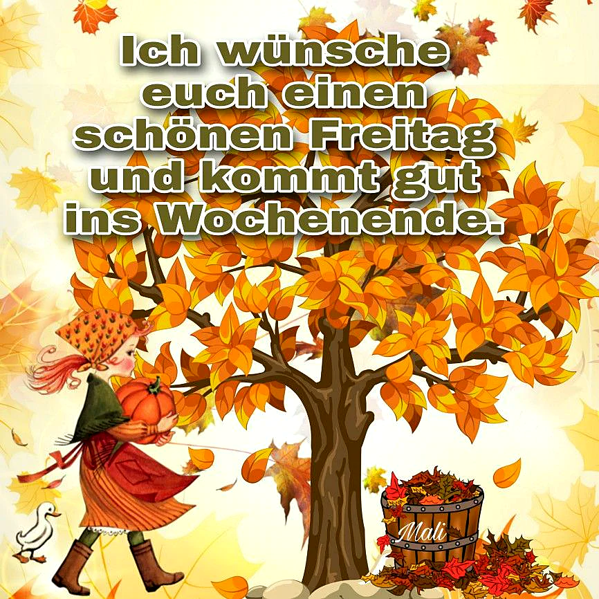 Schönen Freitag! Freue dich auf's Wochenende!