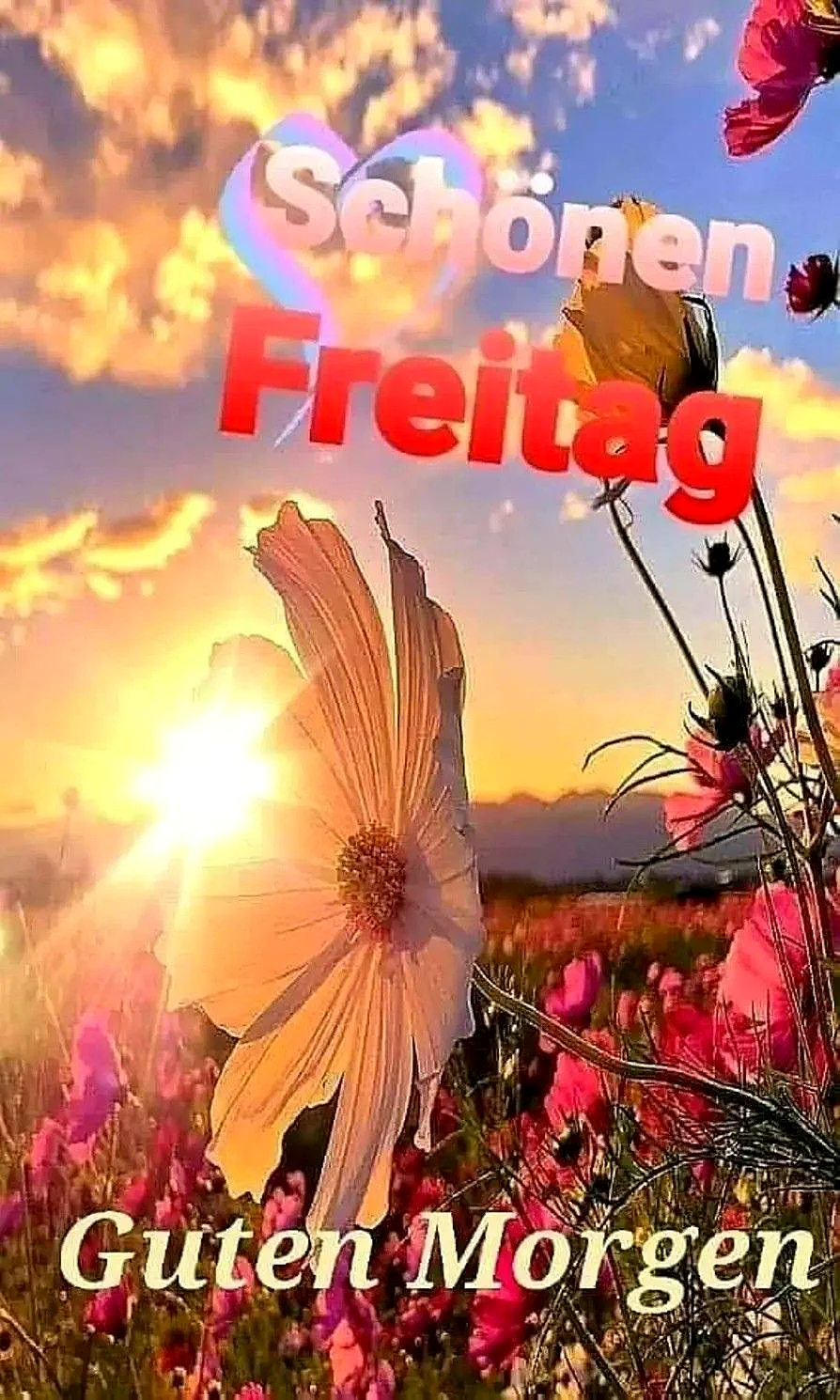 Schönen Freitag - Guten Morgen
