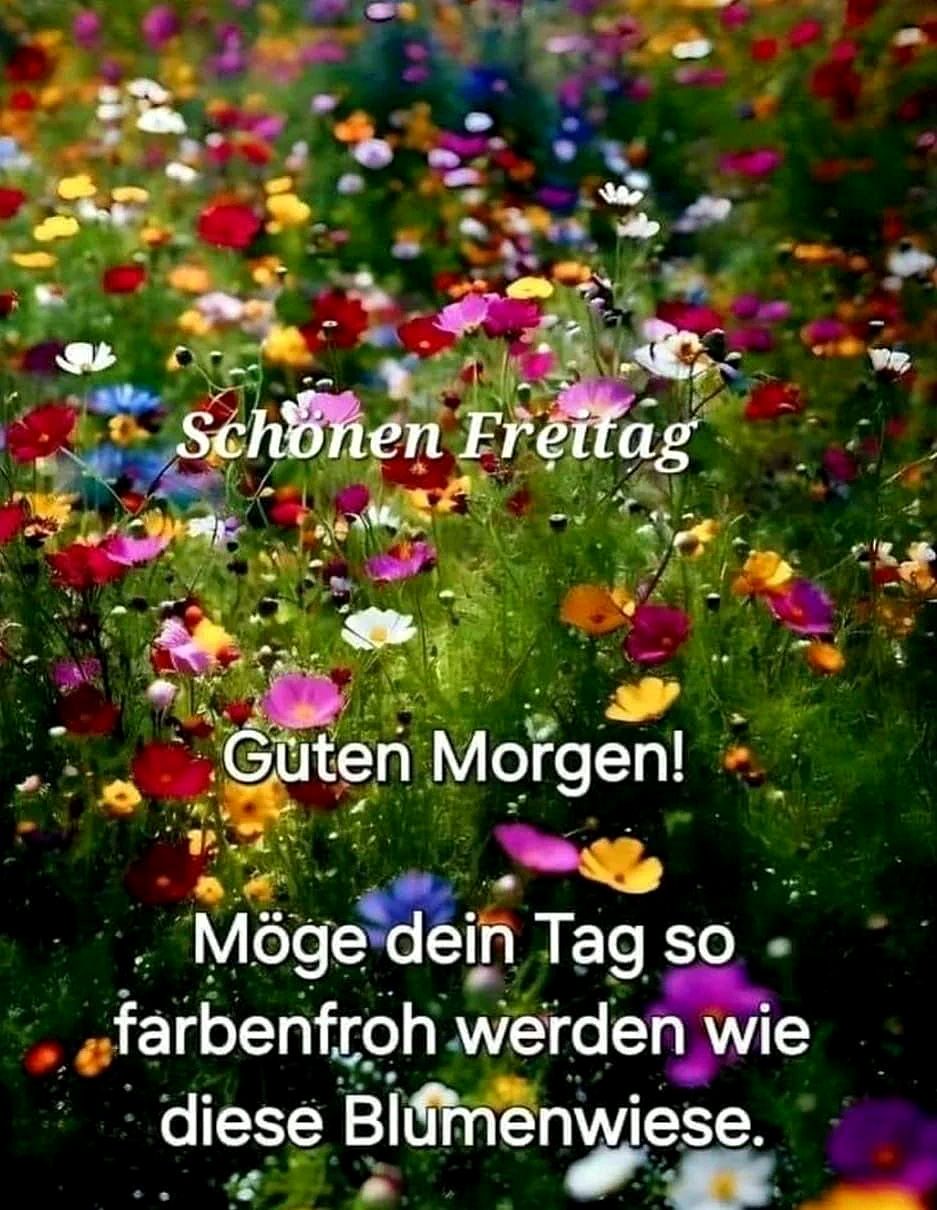 Schönen Freitag! Guten Morgen