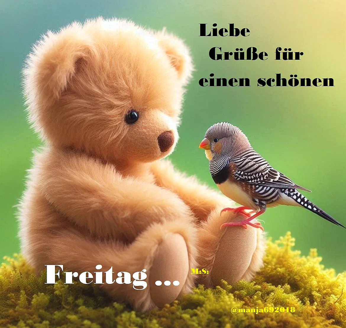 Schönen Freitag! Liebe Grüße von einem süßen Teddy und seinem Vogel