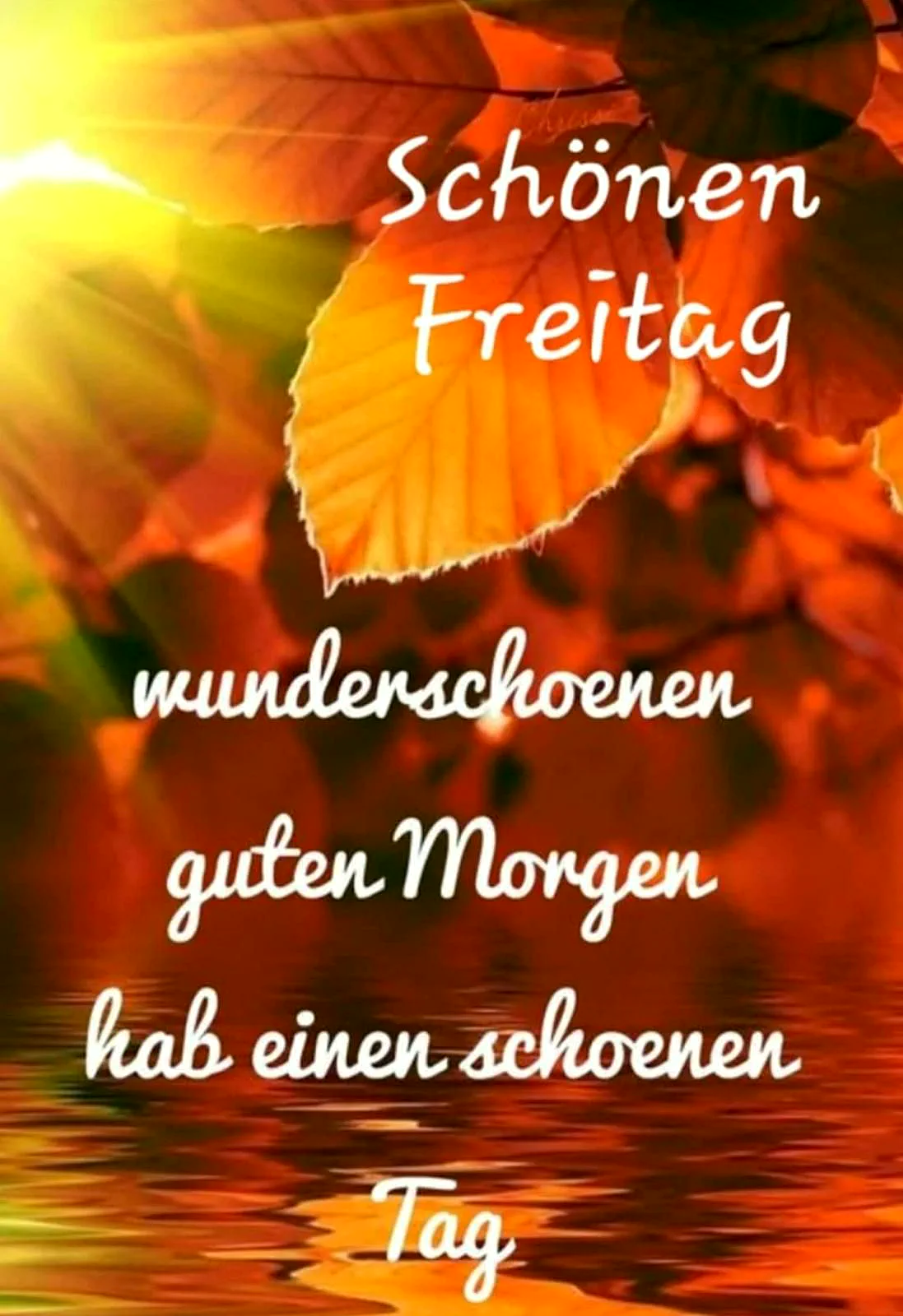 Schönen Freitag! Wunderschönen guten Morgen
