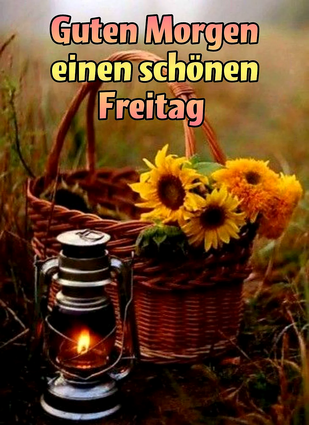 Schönen Freitagmorgen - Guten Morgen Grüße