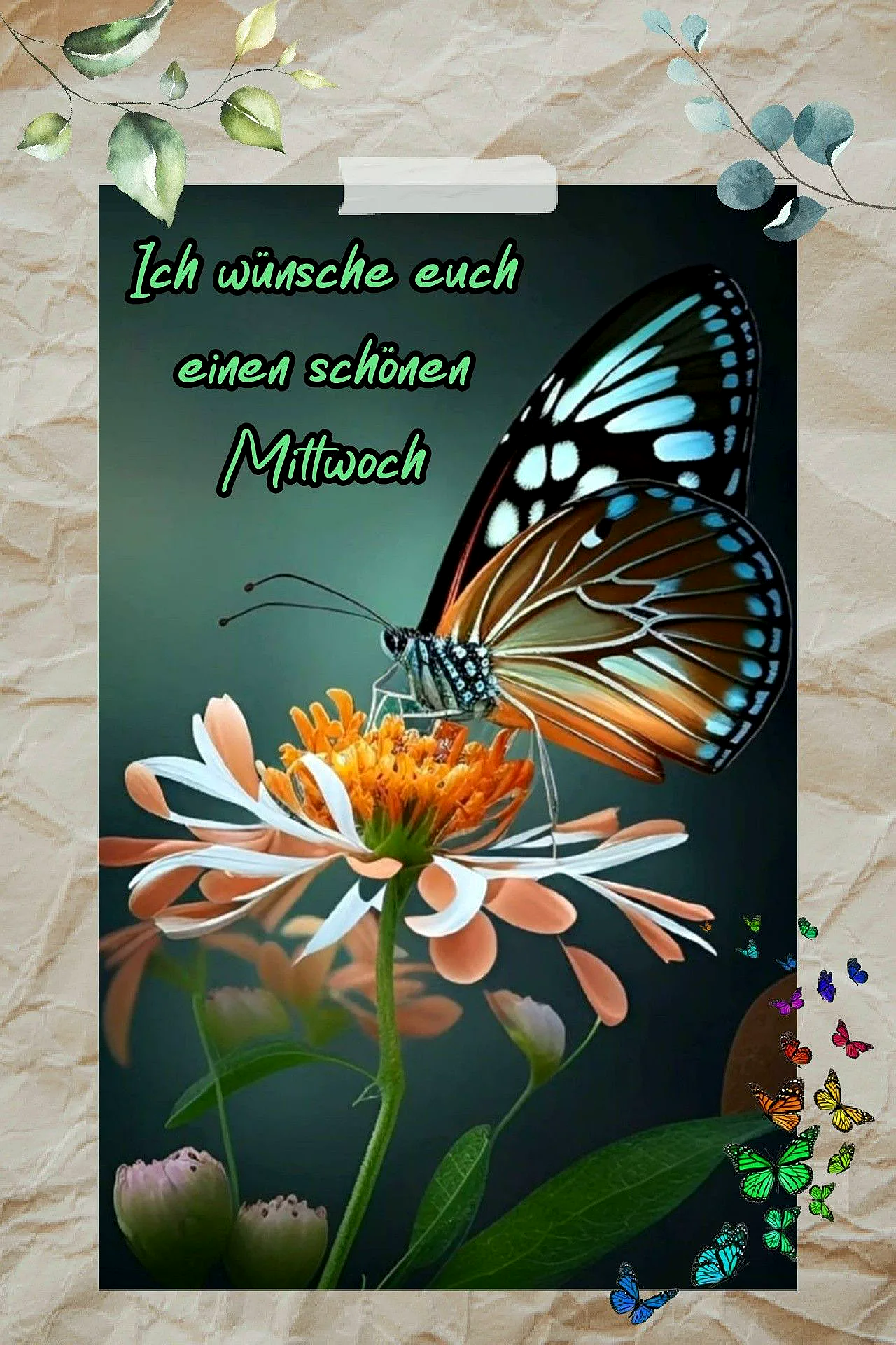 Schönen Mittwoch Bilder - Ein Farbiger Gruß für die Wochenmitte