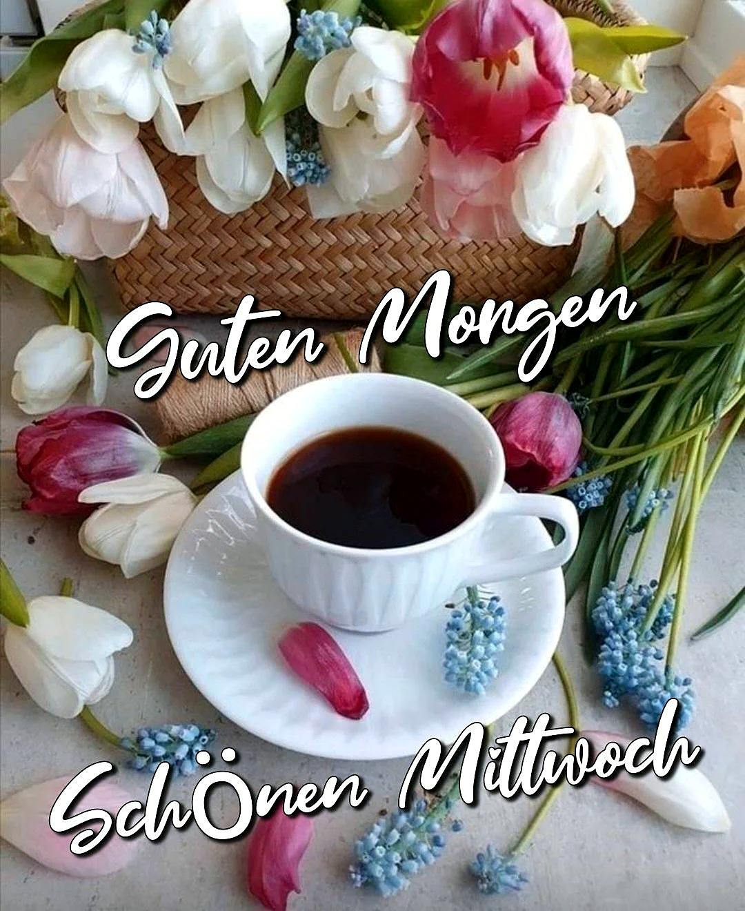 Schönen Mittwoch Bilder - Guten Morgen Gruß für WhatsApp