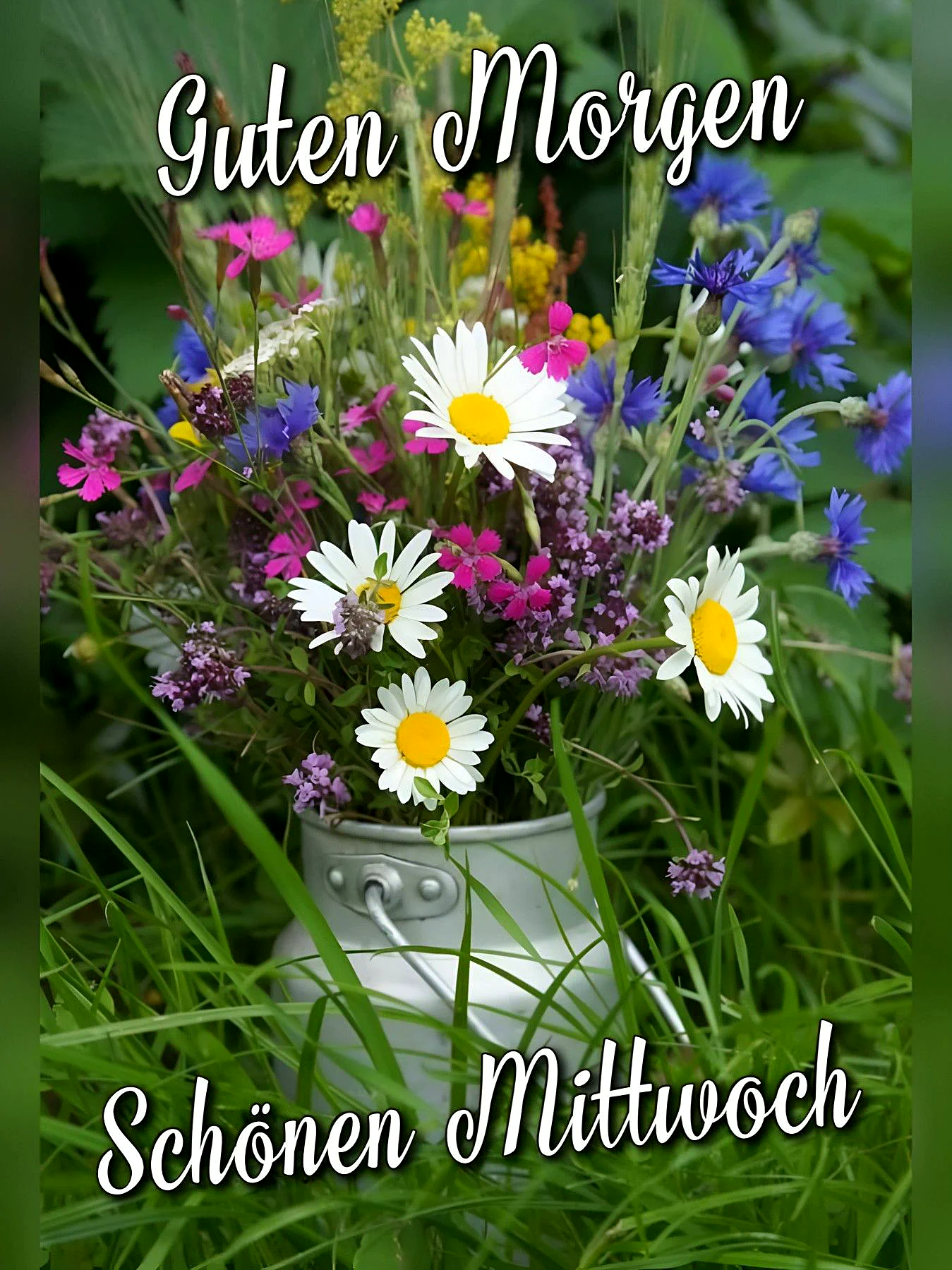 Schönen Mittwoch Bilder - Guten Morgen Gruß für WhatsApp