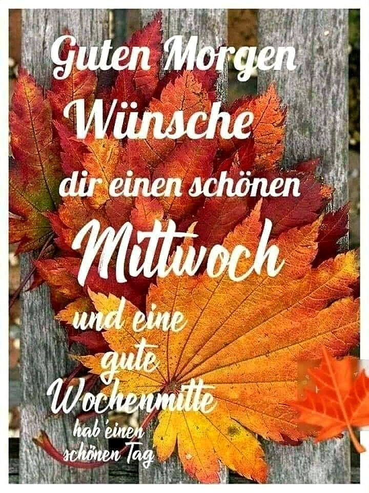 Schönen Mittwoch Bilder - Guten Morgen und eine gute Wochenmitte