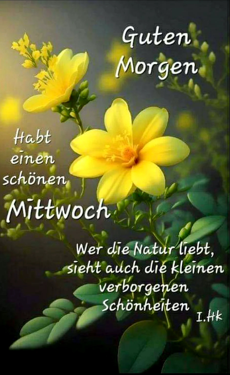Ein Foto von zwei gelben Blumen mit grünen Blättern vor einem dunklen Hintergrund. Die Blumen sind im Fokus, während der Hintergrund unscharf ist. Die Stimmung ist friedlich und ermutigend.
