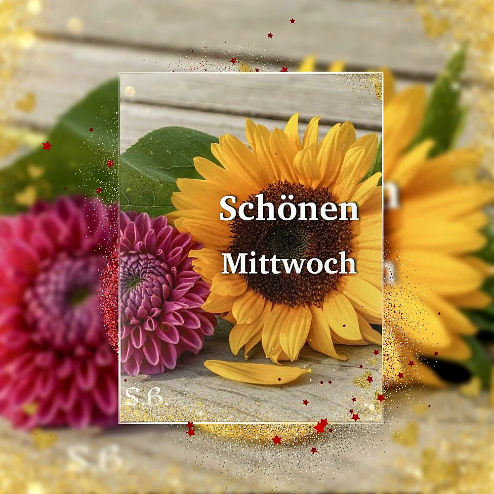 Schönen Mittwoch: Halbzeit erreicht! Bleib stark bis zum Wochenende.