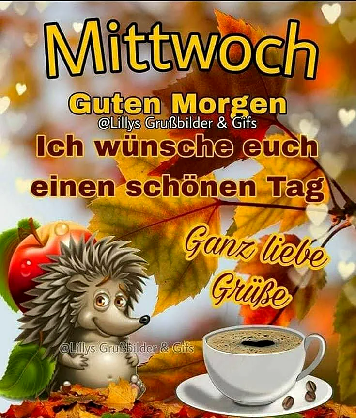 Schönen Mittwoch! Ich wünsche dir einen tollen Tag
