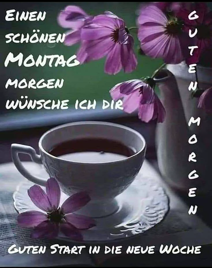 Schönen Montag Bilder - Guten Morgen Grüße für einen perfekten Start