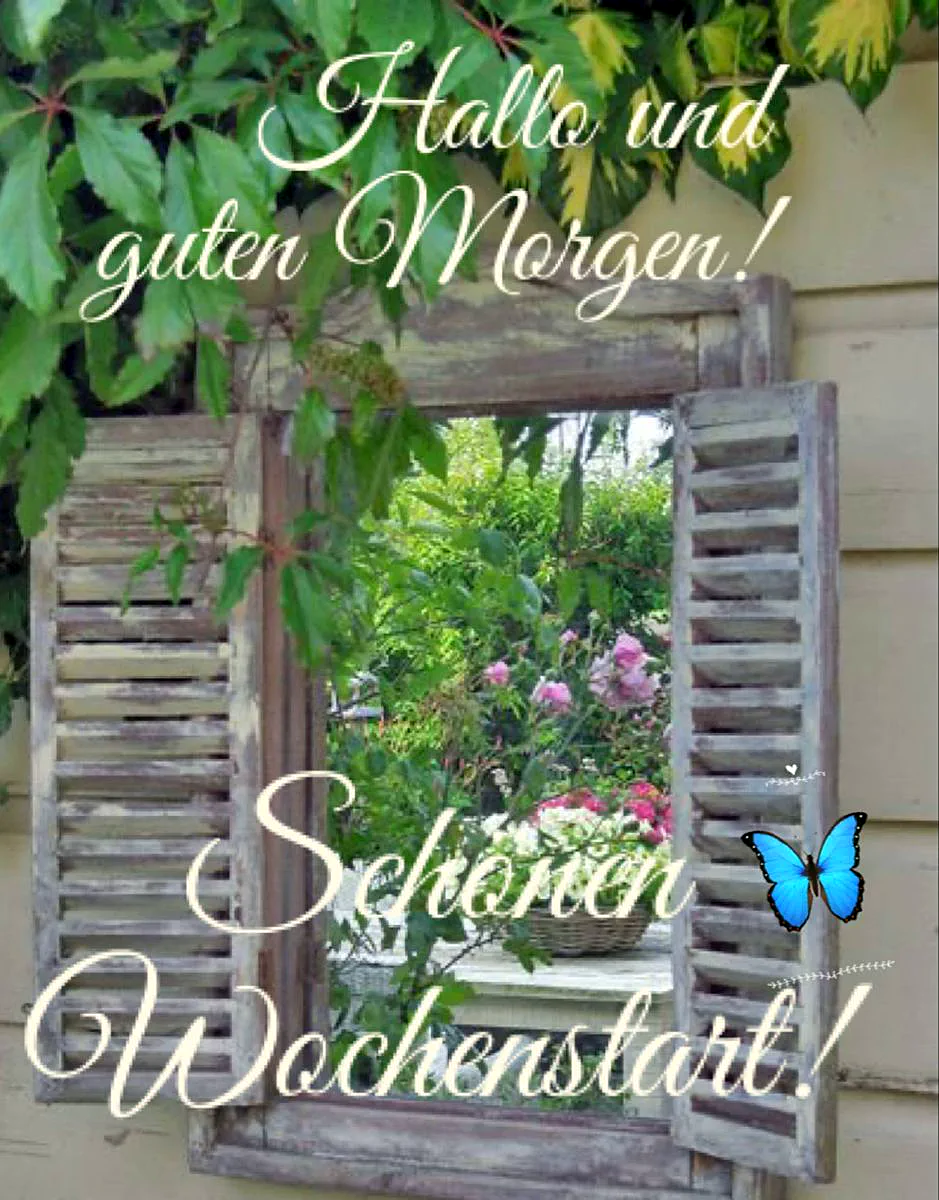Schönen Montag Bilder - Guten Morgen Grüße zum Wochenstart