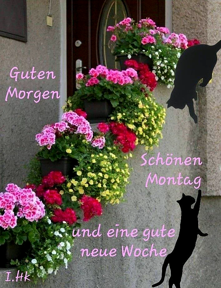 Schönen Montag Bilder - Guten Morgen und eine gute neue Woche