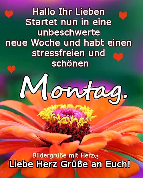 Schönen Montag Bilder - Stressfreier Start in die neue Woche
