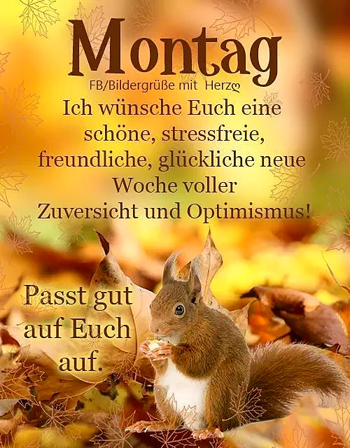 Schönen Montag: Ein warmer Gruß zum Wochenstart
