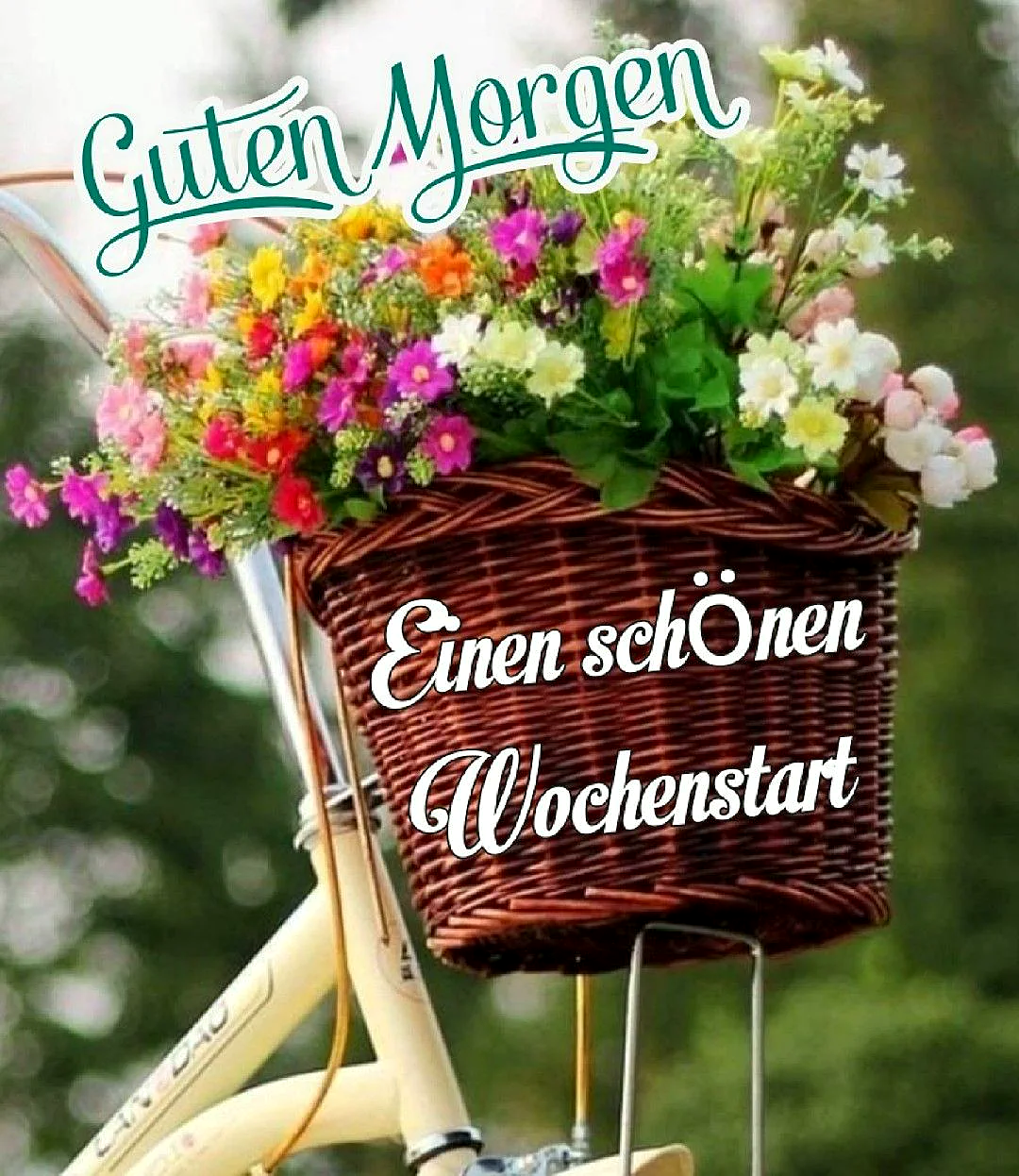 Schönen Montag! Guten Morgen Grüße zum Wochenstart