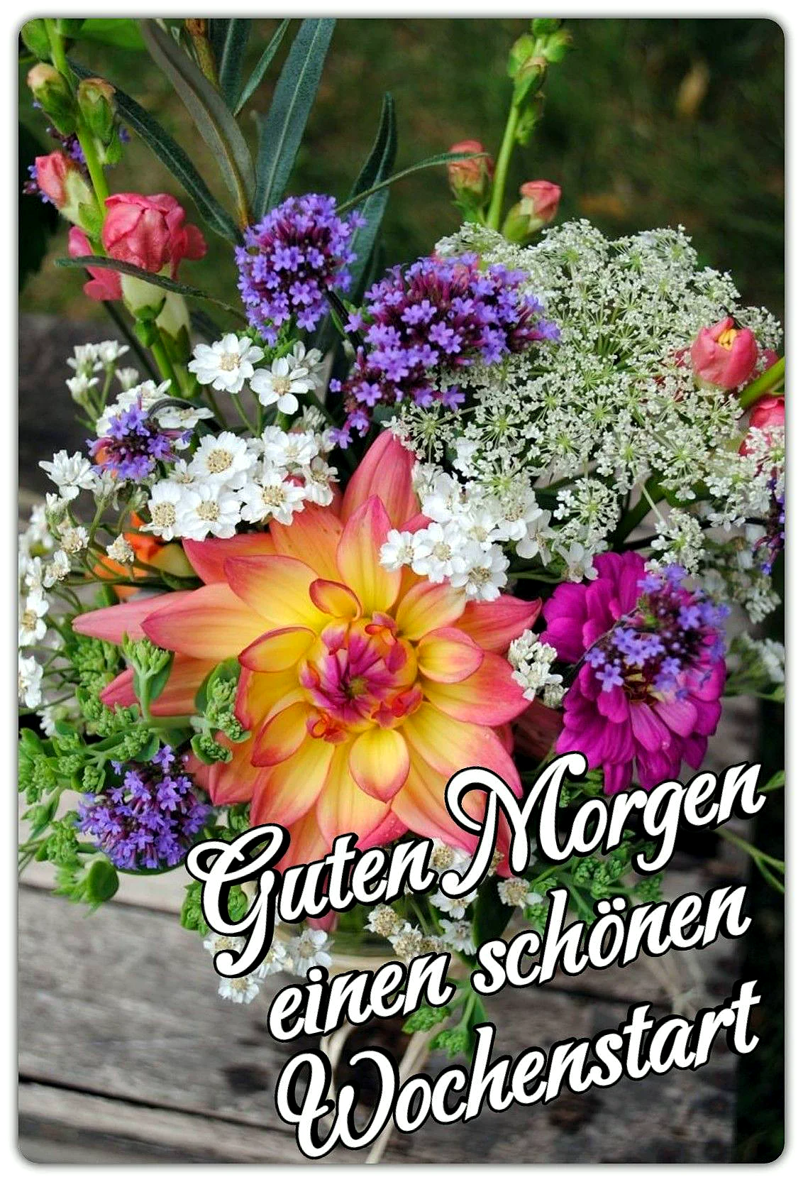 Schönen Montag Morgen - Frischer Start in die Woche mit Blumen
