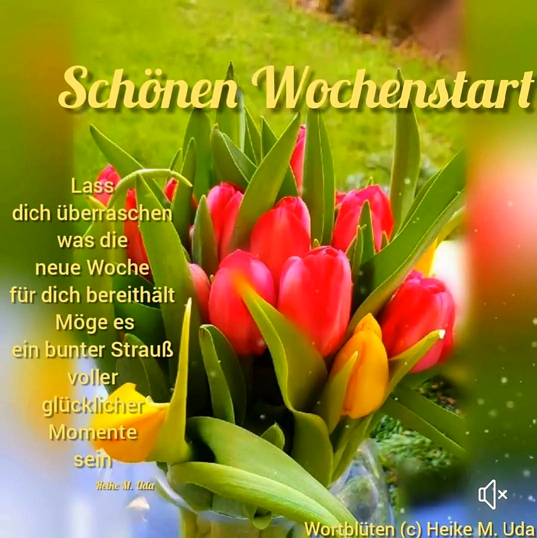 Schönen Wochenstart