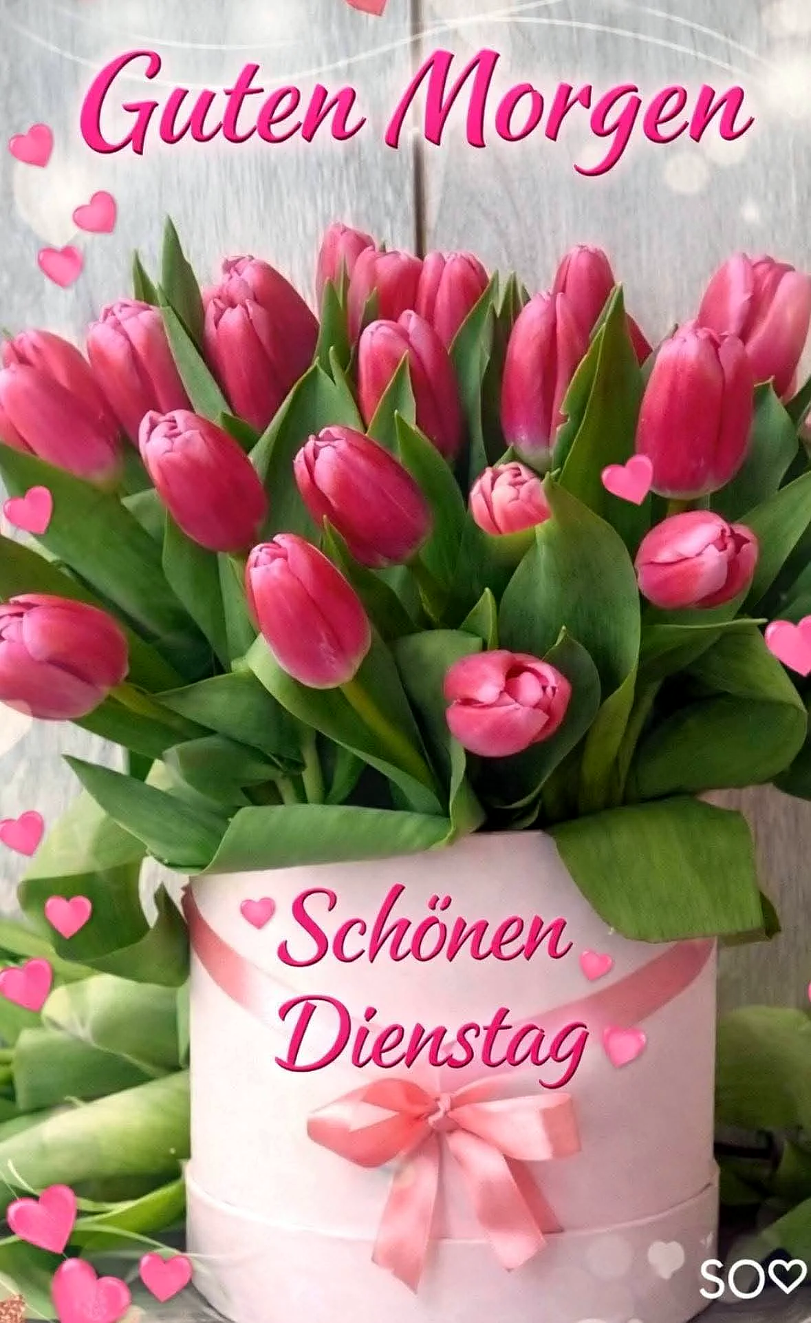 Ein Strauß rosafarbener Tulpen in einer eleganten weißen Geschenkbox, geschmückt mit einer rosa Schleife und kleinen Herzen. Der liebevolle Gruß 'Guten Morgen' und 'Schönen Dienstag' prägt die frühlingshafte, positive Bildstimmung.