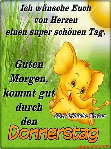 Süßer Donnerstag Gruß: Kleiner Elefant bringt Wochenend-Vorfreude am Morgen