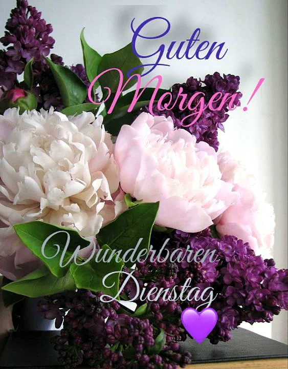 Wunderbarer Dienstag Gruß - Guten Morgen!