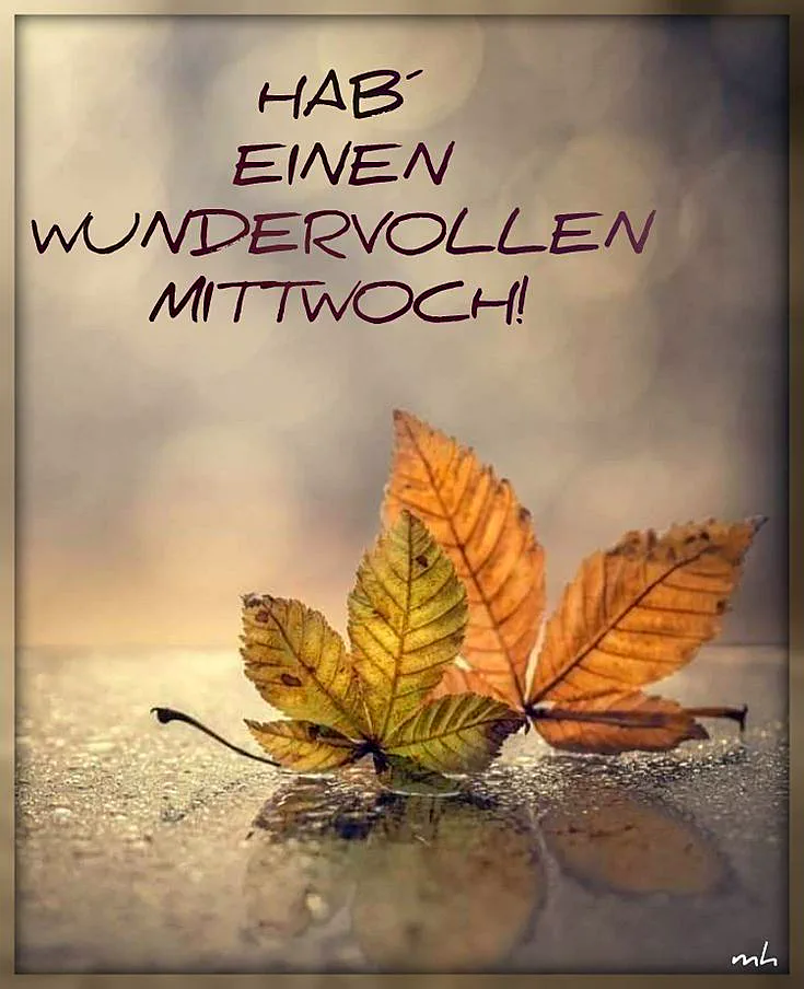 Drei leuchtend orange-gelbe Herbstblätter liegen auf einer spiegelnden, feuchten Oberfläche mit Regentropfen. Der unscharfe, warme Hintergrund betont die ruhige Stimmung. Der Gruß "HAB' EINEN WUNDERVOLLEN MITTWOCH!" ist prominent platziert.
