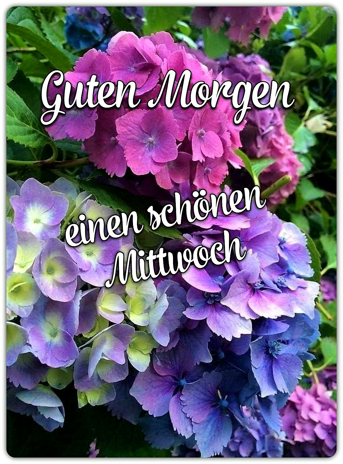 Zauberhafter Mittwochmorgen: Energie tanken und die Wochenmitte genießen!