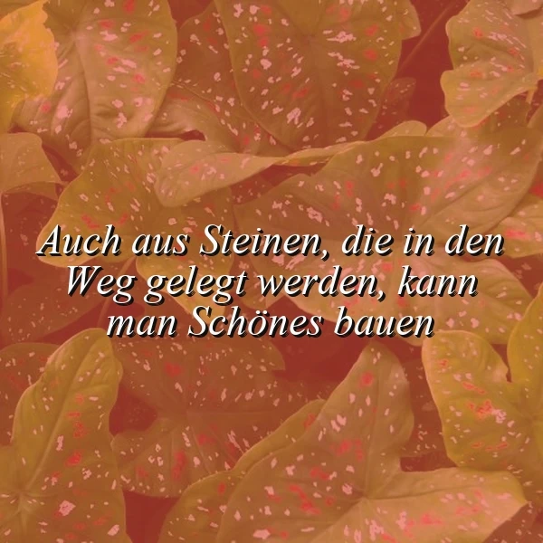 Mut machender Spruch: Auch aus Steinen baust du Schönes! Lass dich inspirieren.
