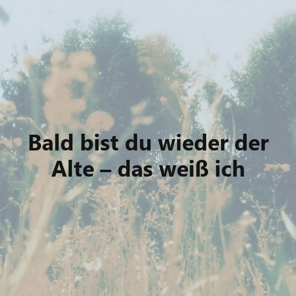 Kopf hoch! Bald bist du wieder der Alte – ein Versprechen mit Augenzwinkern