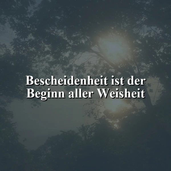 Die wahre Quelle der Weisheit: Bescheidenheit als Schlüssel zum Wissen