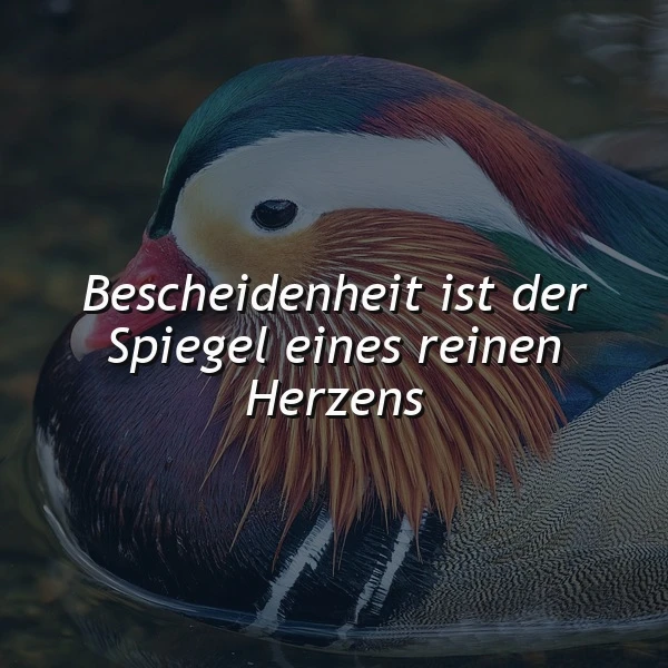 Bescheidenheit: Der stille Glanz eines reinen Herzens – Zitate & Weisheiten