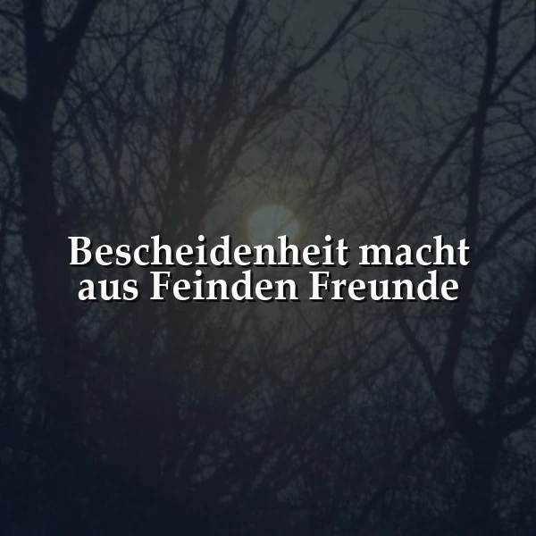 Die leise Kraft der Bescheidenheit: Wie Herzen zueinanderfinden