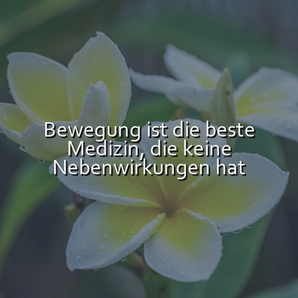 Bewegung: Die gesunde Medizin ohne Nebenwirkungen